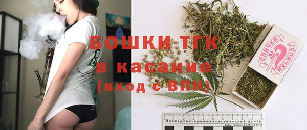 сатива Михайловка